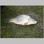 C.Lhota 3.4.2008 -34.JPG